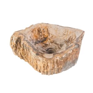 VASQUE EN BOIS FOSSILISÉ 30-35x15CM